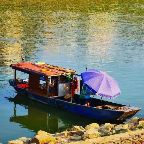 诗情画意，只在阑杆外