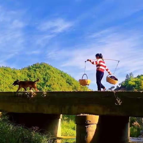 注重意境的捕捉和营造