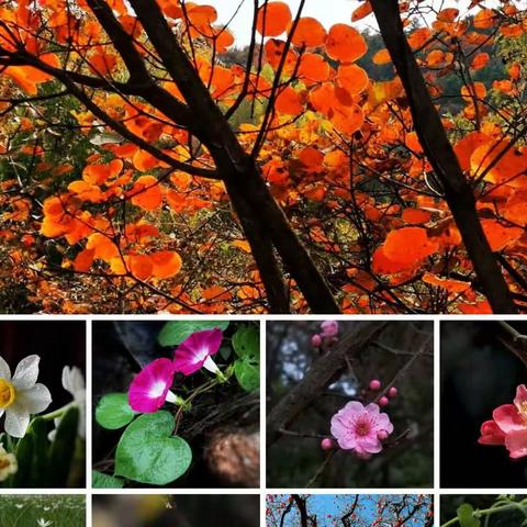 留住瞬间 珍藏心情