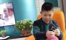 我是池阳小学三年级一班张睿琦，我正在参加寒假，“微实践”我是这样做的