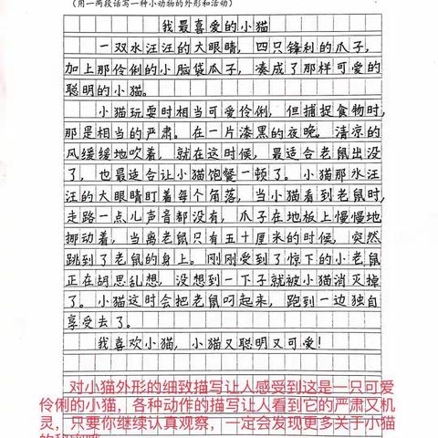 东莞松山湖中心小学第六周线上学习集锦