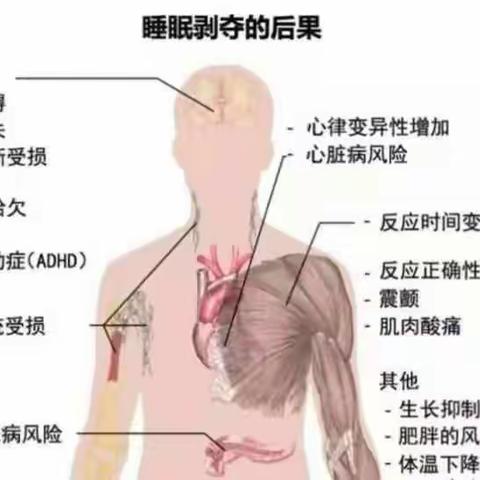 夜深了，您怎么还不睡觉？