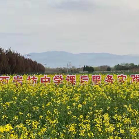 “双减”落地生根 乐享收获喜悦