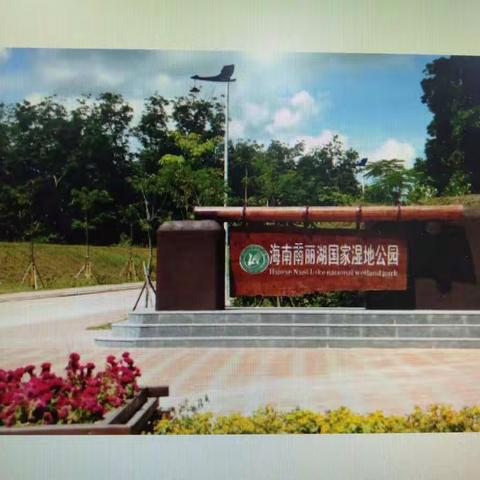 海南南丽湖国家湿地公园投放鱼苗活动