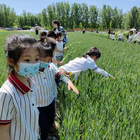 普米森林自然体验日——乐与陶“劳动最光荣”主题活动2