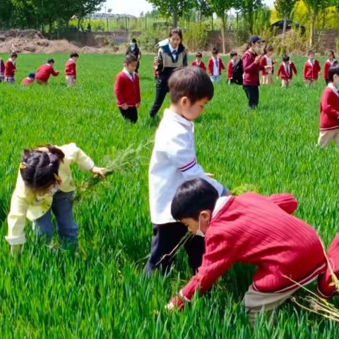 4.23普米森林自然体验日——乐与陶“劳动最光荣”主题活动
