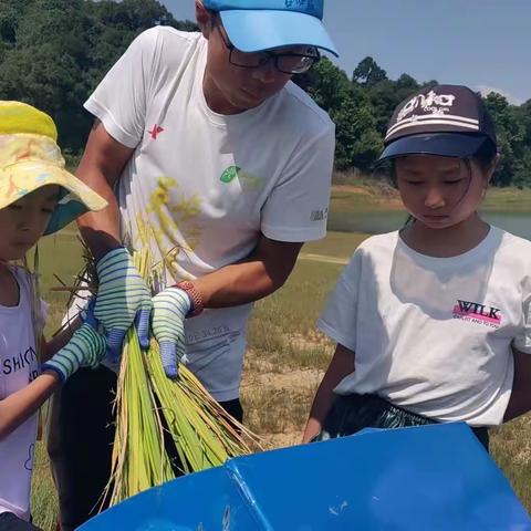 躬耕童年西双版纳夏令营第二期回顾
