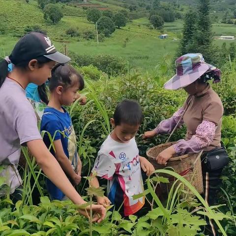 米大大西双版纳夏令营第一期回顾