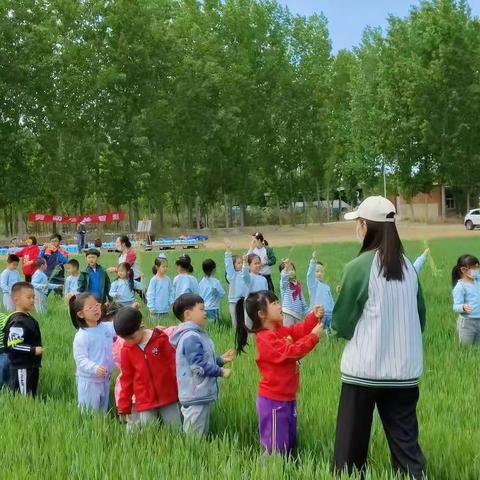 迎五一普米森林劳动体验日——常菁藤幼儿园“劳动最光荣”主题活动