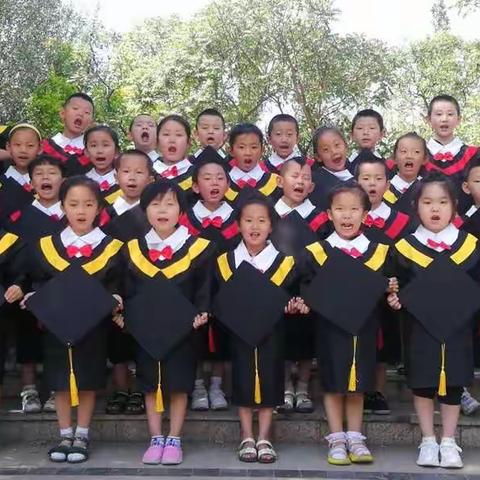 贝贝乐幼儿园2019年🎓毕业留念