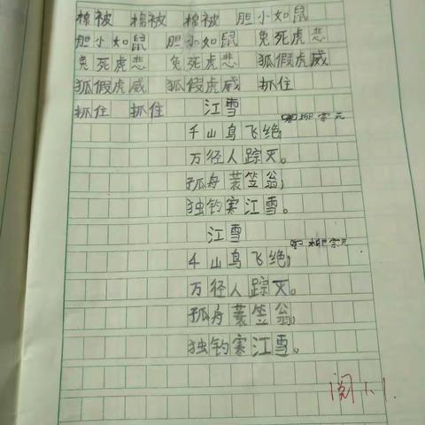 王宇轩语文数学作业