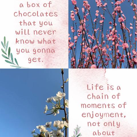 莫负春光好时节，听音识词正当时—八湖镇中心小学线上英语第七周