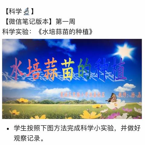 “水培蒜苗，种植收获”------宽城区实验小学亚泰校区停课不停学，科学小实验