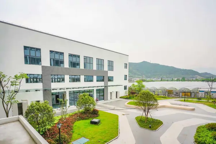 温州市上戍中学