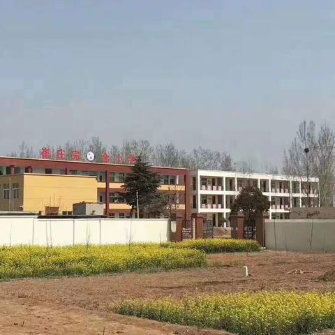 卫辉市唐庄镇崔庄完全小学师生共同防范新型冠状病毒