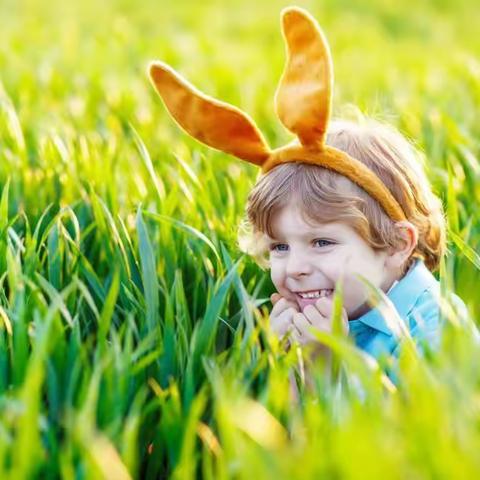 春天已至，未来可期———吉林省初中英语王东光名师工作室第三周线上培训———教研员视角下的初中英语网络教学