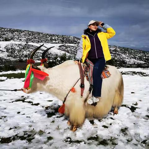 甘南之行第五日（长江黄江分水岭）