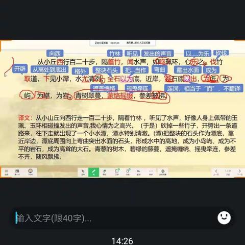 “空中课堂齐努力，陌上花开重相聚”——龙洲九年制学校八年级语文线上教学叙事