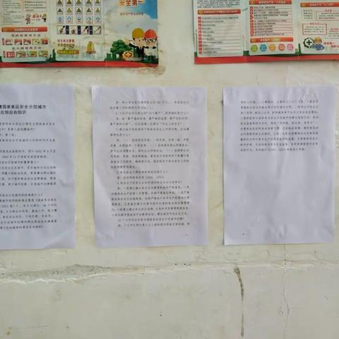 东山镇敬老院开展“海口市创建国家食品安全示范城市”宣传活动