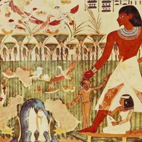 守护微笑，保护牙齿