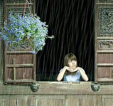 听雨