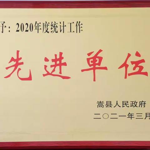 国网嵩县供电公司：荣获嵩县2020年度统计工作“先进单位”荣誉称号