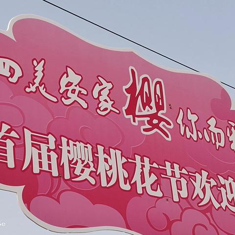 “四美”安家庄   “樱”你而多彩