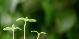 二实小幼儿园小一班—棒棒的我