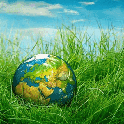 保护地球  敬畏自然——第二实验小学幼儿园世界地球日主题活动