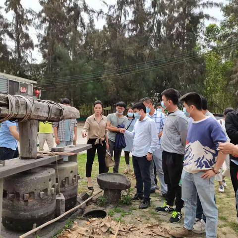 【能力提升建设】镇党建办组织回引人才参观海儋土糖基地