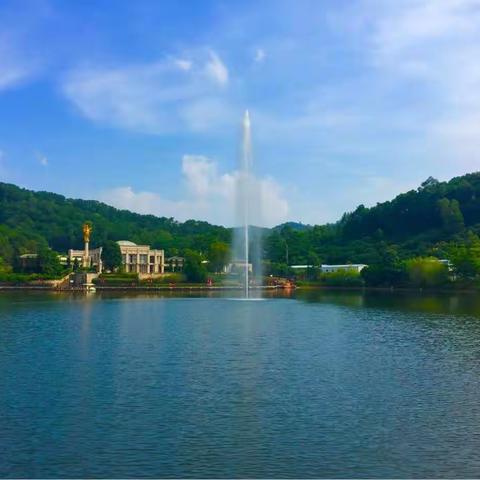 天涯共此时        一一致我亲爱的小伙伴们