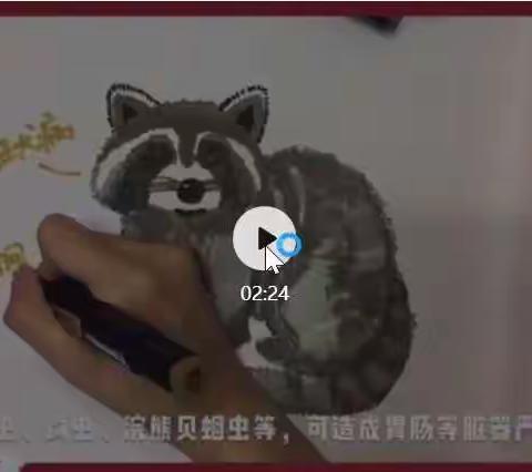 二实小·同心抗疫 | 红领巾播报  爱护动物 远离病毒