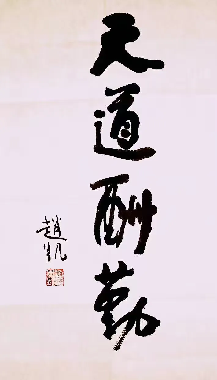 赵凯书法艺术作品赏析