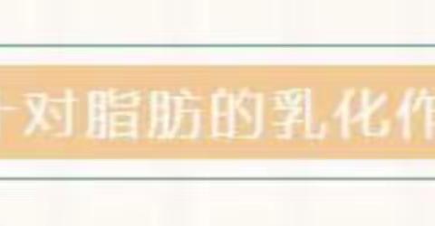 海口九中生物学第二课堂——探究胆汁的乳化作用