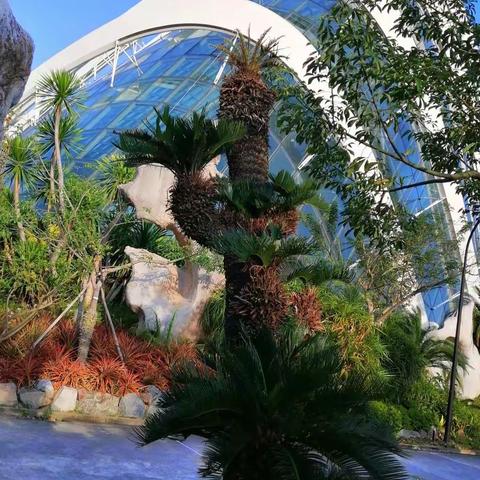 清风拂袖过，弦音抚琴生。骑上爱骑，远离城市的喧嚣，远离世俗的浮华，心灵的一片净土在这里找到。