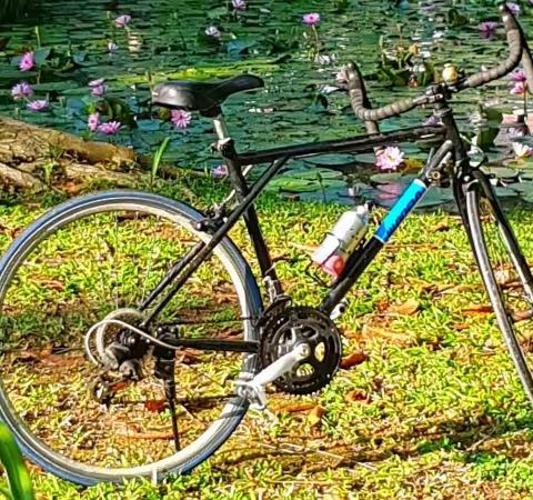 骑游新加坡，享骑行之美独行之乐，只有真正能投入、融入的行者,才能体会到一种真情的美、一种野性的美和回归…