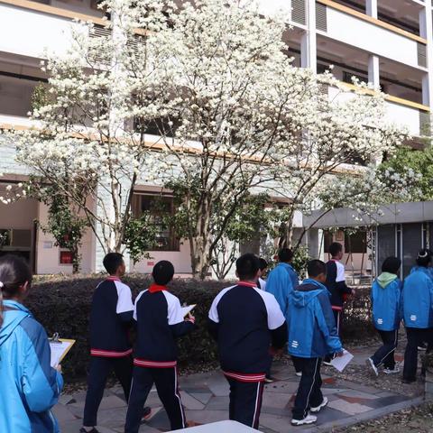 最是一年好春光，寻春亲绿正当时 —— 宁波市第十五中学组织“校园寻春”植树节主题活动
