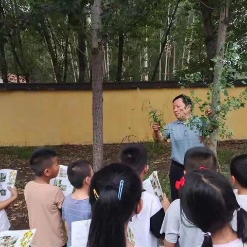 暑期托管  快乐一“夏”      🌻🌼🌻   楼德镇东营联办小学