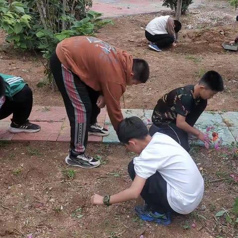 校园大扫除 喜迎儿童节 楼德镇东营联办小学