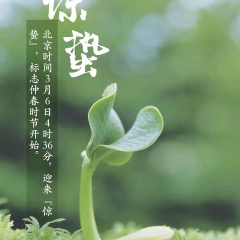 微雨众卉新，一雷惊蛰始——西流堡小学二十四节气之“惊蛰”综合实践活动