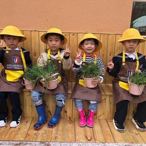 何胖胖🌻 🌻的美篇