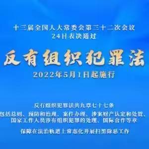 海棠区温泉小学《反有组织犯罪法》主题班会