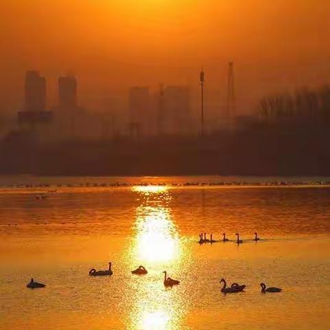 “再次研磨，力求更好”——《分数的初步认识》研讨课