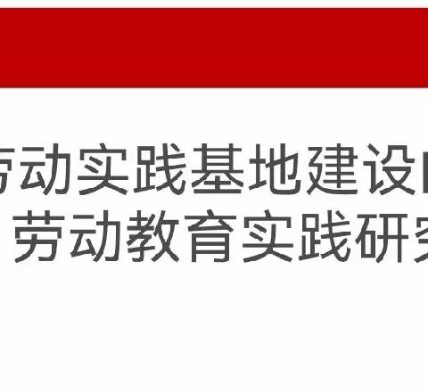 科研引路，笃行致远——磐石市朝鲜族实验小学、红光中学召开《基于劳动实践基地建设的中小学劳动教育》开题报告会