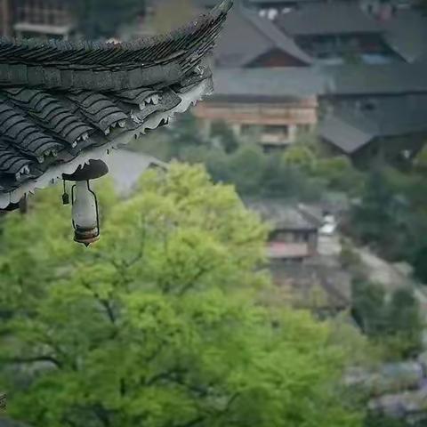寒雨难抵教研路，踔厉奋进不可负