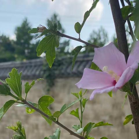 欲明人者先自明——好习惯的界定