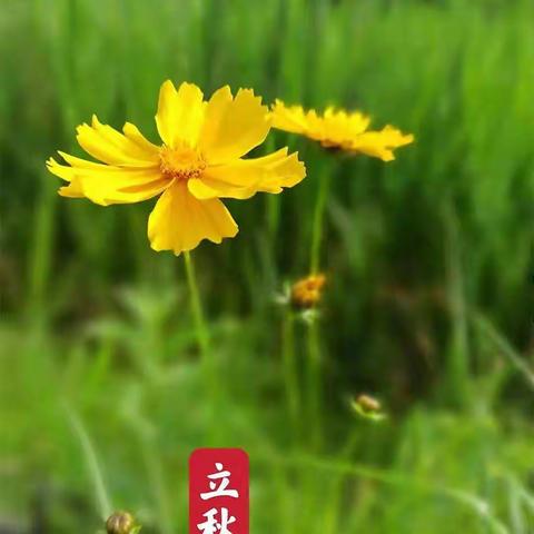 修己安人，止于至善