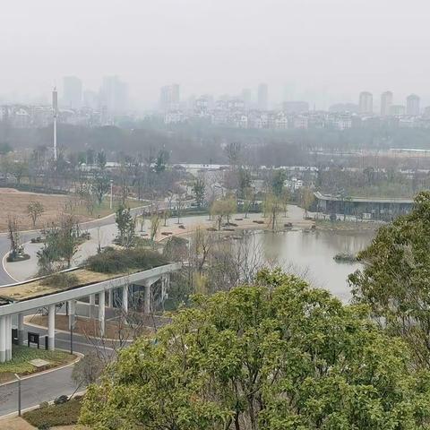 都市山林，野趣盎然