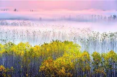 同课异构，收获良多——区小学数学优质课评选听课体会