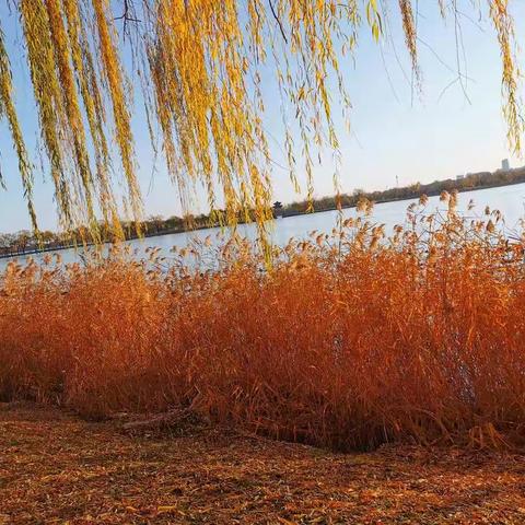 颐和园西堤游记